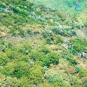 115K views · 1K reactions | Top movie on Netflix 2024 | Top Clips | Facebook