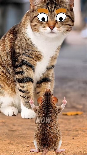 Parasites That Control Animal Minds