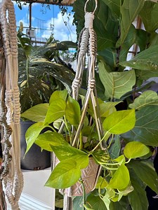 Suspension pour plante en macramé - Etsy France