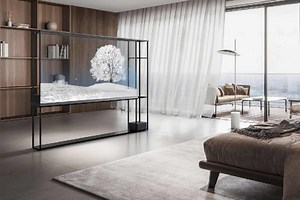 LG unveils world's first wireless transparent OLED TV | The Citizen