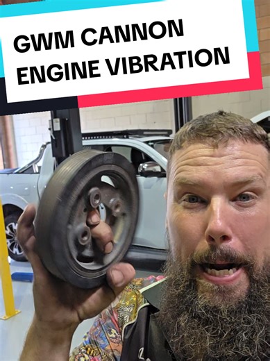 GWM Cannon Engine Vibration Troubleshooting Guide
