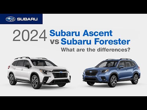 2024 Subaru Ascent vs 2024 Subaru Forester | What Are The Differences?