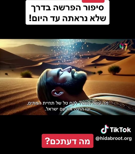 בעקבות הפרשה: יתרו בפרשת השבוע לילדים