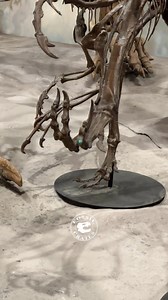 Deino-Might! #Seriema pic at end 🙂 A pair of leaping #Deinonychus, “terrible claw,” at the Gunma Museum of Natural History in Tomioka, Japan remind viewers that, though not giant, these Early #Cretaceous (~110 mya) #dromaeosaurid #dinosaurs, aka raptors, were not to be trifled with. Powerfully built with a long, counterbalancing tail, so important to Ostrom that in 1969 he chose the species name “antirrhopus,” which means “counterbalance,” the thought being the tail could help it steer when run