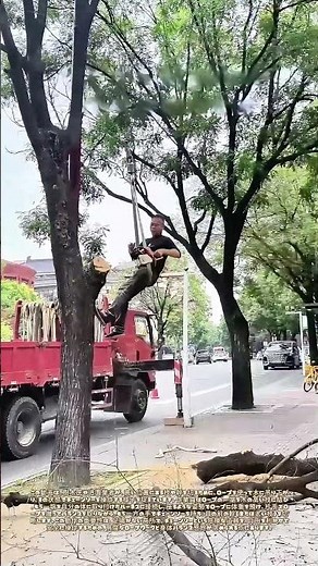 木に吊るされて幹を切る：ロープの上の危険な伐採術
