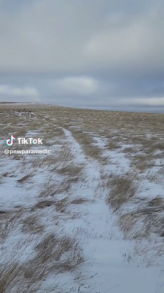 Taking the kiddo...I mean the doggos for a walk on the property. #homesteading #thebigoutdoors #bigskycountry
