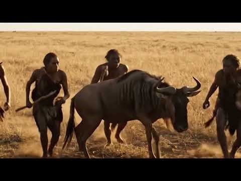 The Science of Human Evolution: From Stone Age to Now