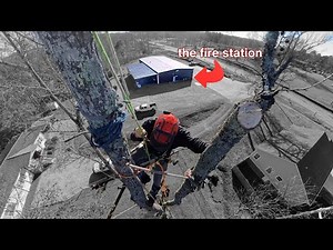 How two firefighters started a $15,833/mo part-time tree company with no experience