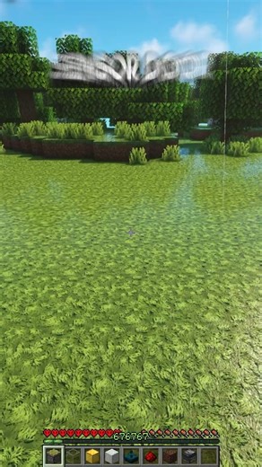 Minecraft on Instagram: "Minecraft Sensor Door💀"