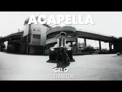 ACAPELLA BEAT : POLLASEEDS - GELO (BPM 143, key A minor )