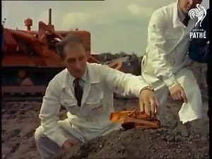 Heavy equipment operator training (y) | Heavy Operator's Club