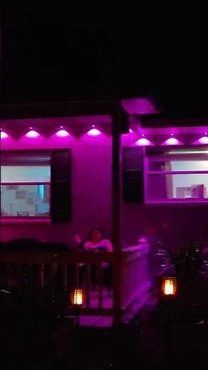 Philips Hue Festavia Lights #philips #philipshue #philipshuefestavia #philipshuelights #homeupgrades