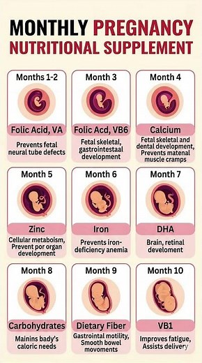 Month-by-Month Pregnancy Nutrition: What to Take from Month 1 to 10 🤰📅
