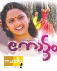 പച്ചപ്പനം തത്തേ (M) - നോട്ടം