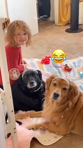 When Kids & Dogs Become Glam Squad 💄🐶👧😂 #MyPetsie ___________________________________________ Explore the Link in Our Bio for More Best Pets Toys & Supplies! 🛒🛍️ ___________________________________________ Follow @my.petsie For More Daily Videos 🔥❤️ ___________________________________________ They found the makeup… and now it’s a makeover mayhem! 💅🐾 From bold brows to glitter paws, these little artists and their furry clients are serving looks and laughs! 😂Tag a friend who’d let their 