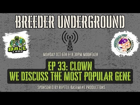 Episode 33: Clown, We Discuss The Most Popular Gene