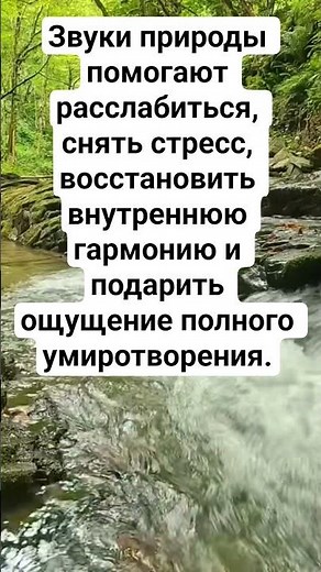 Звуки природы помогают расслабиться, снять стресс, восстановить внутреннюю гармонию.