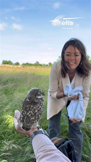 321K views · 685 reactions | 黎 Protégeons une espèce en danger chez...