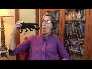 Insects | Beetle | Life Cycle | Kids | Science | Read Aloud | Story