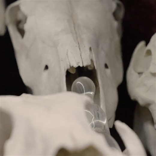 1.2K views · 23 reactions | Imagine a world without the internet, travel, and everything that opens the world up for us today.  Join legendary host #JamesBurke and learn more in #Connections ⬇️  https://curiosity.tv/2ziqjxu | Curiosity Stream | Facebook