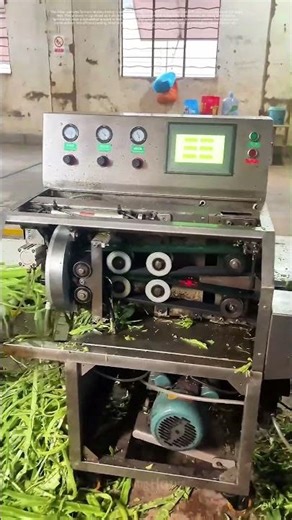 Peeling Perfection: How Machines Revolutionize Vegetable Stem Processing