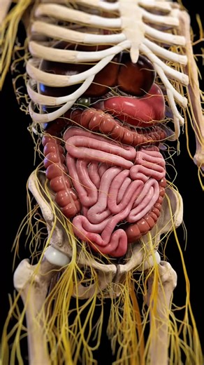 DETOX CENTRE | ПЛАЗМАФЕРЕЗ | ОЗОНОТЕРАПИЯ | ОЧИЩЕНИЕ КРОВИ on Instagram: "Байланыс: +7 775 741 4626☎️ Адрес: Ақтөбе қаласы, Әбілқайырхан-14📍 •Detox Centre Aktobe #рекомендации #плазмаферез #озонотерапия #очисткаорганизма"