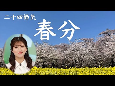 [Spring Equinox (24 Solar Terms)] With "Sakura Day (March 27th)" approaching, it truly feels like...