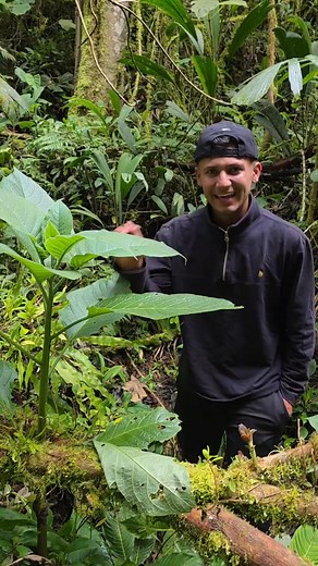 1.2M views · 33K reactions | Borrachero real  #fblifestyle | Diego Diaz | Facebook