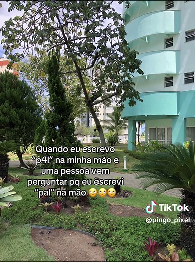 Entenda o que significa P4L: A verdade por trás da foto