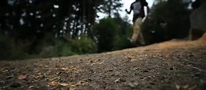 15 reactions | Take a trip with Alex Reveles to his private playground hidden deep in the woods in the latest edit by Deity,... | WORLD of RIDING | Facebook