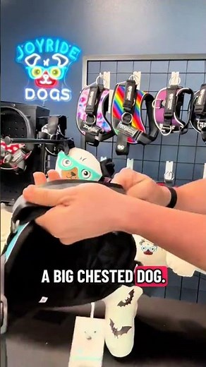 🙌 Finally, a Harness That Actually Fits a Barrel-Chested Dog 🐶