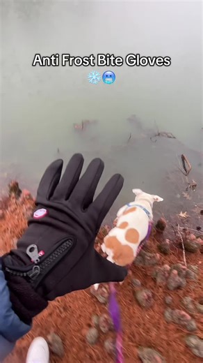 Soft Winter Gloves for Ultimate Warmth and Comfort