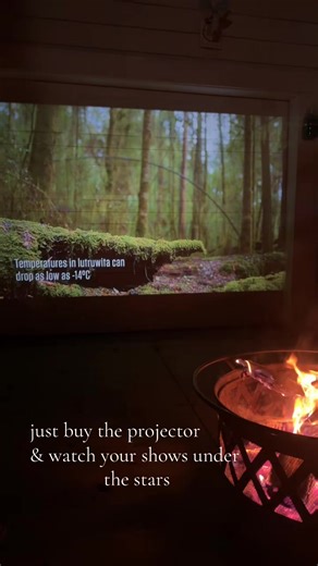 honestly the best purchase