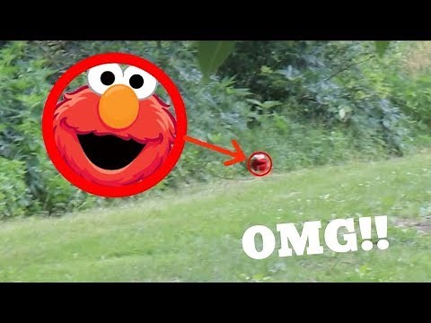 Elmo SPOTTED IN REAL LIFE!! *UNBELIEVABLE*