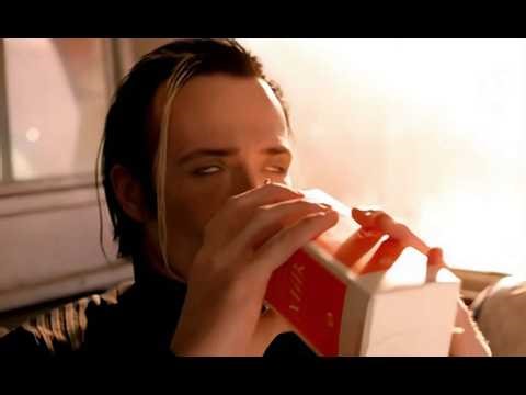 Scott Weiland - Barbarella (1st Reaction) (milk... levitation... Cyndi Lauper)