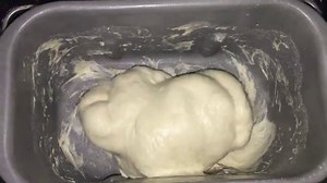 Rustic Ciabatta with Biga (Bread Machine Dough)