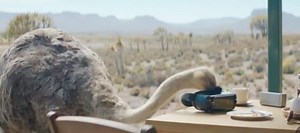 Watch: Brilliant Samsung ad hilariously shows Ostriches attempting to learn to fly [video]