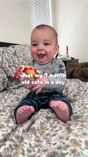 Baby's First Foods: 7-Month-Old BLW Meals