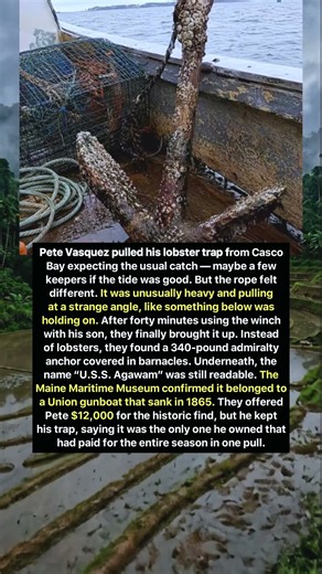 A Lobsterman’s Incredible Discovery