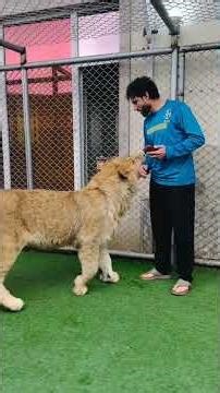 ماکس جان لایک کمنت سبسکرایپ. کنین دوستا نازم