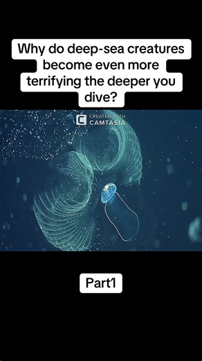 The Terrifying Depths: Deep-Sea Creatures Unveiled