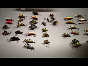 Cum să alegi un vobler pentru pescuitul cleanului