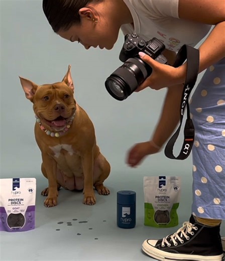 Modeling dog 🐕 #dogmodel #nextopmodel #famous #famousdog #fyp