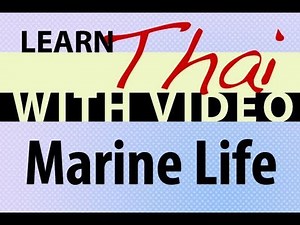 Learn Thai with Video - Marine Life