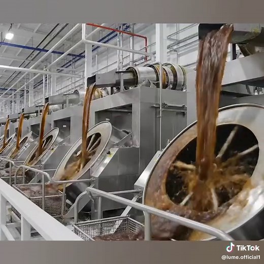 From Sugarcane to Sugar: Exploring the Production Process