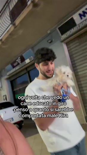 Kira il Cane: Comportamento e Addestramento