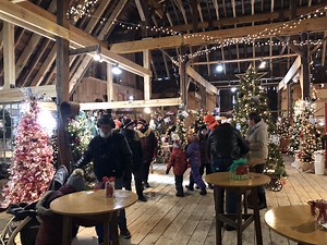 Festival of Trees in Bobcaygeon kicks off holiday season
