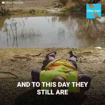 The terrifying sea lamprey- The most feared invasive fish on the planet