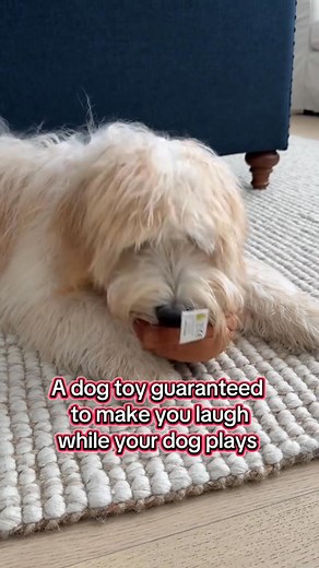 💩🐾 Endless giggles for everyone—yes, even the pups! This talking poop toy turns playtime into a hilarious, laugh-out-loud experience for kids, adults, and furry friends alike. 🎉🤣 Perfect for family fun, pranks, and silly moments that never get old! https://www.prefacein.com/products/funny-talking-poop-plush-toy | Prefacein5