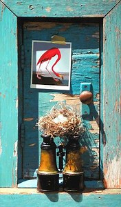 Debra Teare - Alchetron, The Free Social Encyclopedia